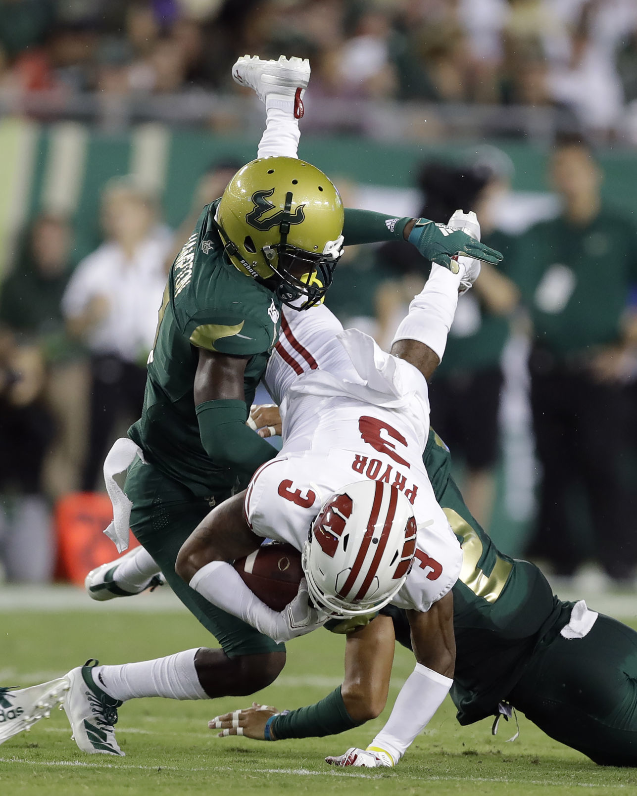 Badgers 49, Bulls 0